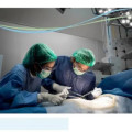 Profile picture of gynaecology and oncology