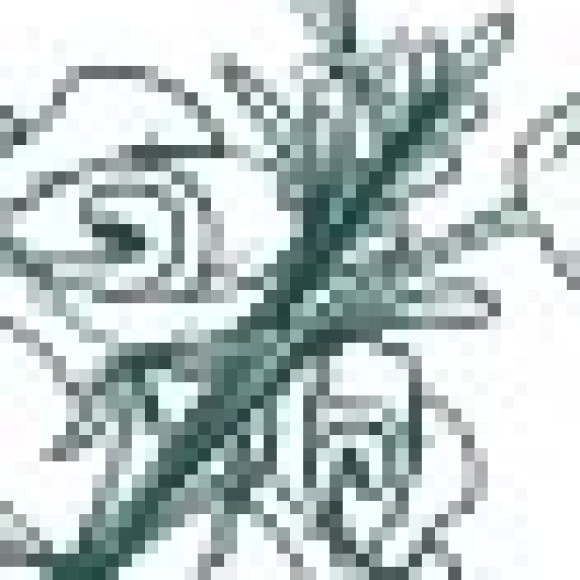 Group logo of Funeral Flowers @SincereFlowersUSA